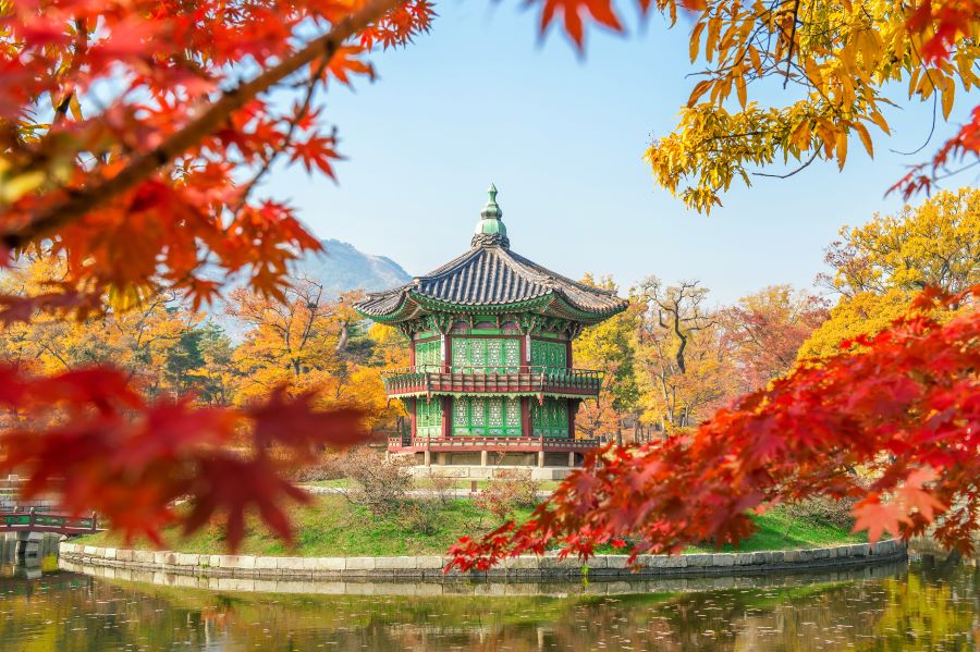 autumn-gyeongbukgung-palace-korea.jpg