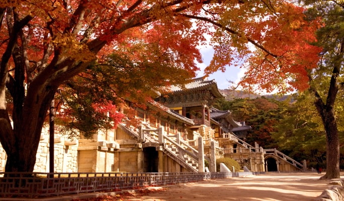 gyeongju-fall-foliage-kt-1-min.jpg