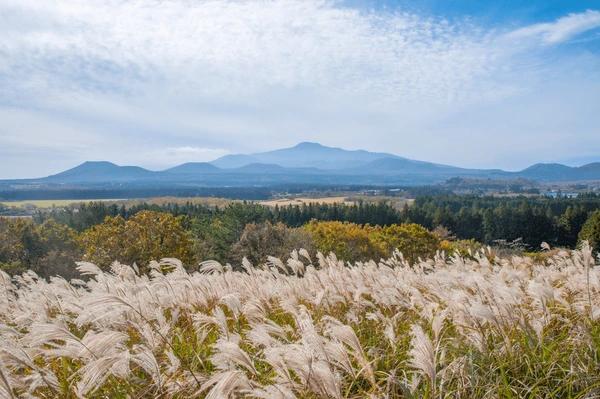 hallasan-mountain-viewed-sangumburi-crater-600nw-1937288050.webp.jpg